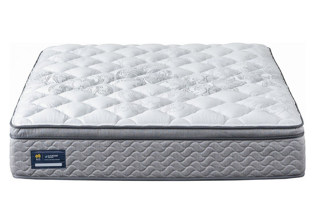 Serta perfect sleeper shop dayton euro top